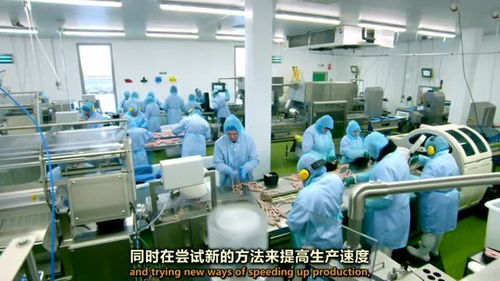 香腸工廠新技術(shù)過(guò)渡 機(jī)遇與挑戰(zhàn)并存