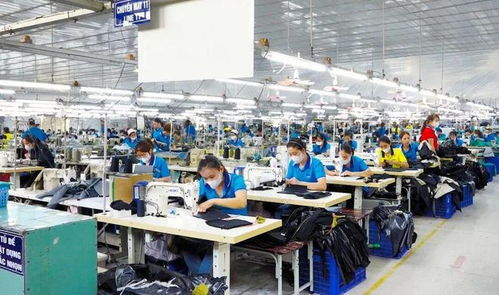 東莞電子廠外遷越南，工人失業困境與網絡技術服務解決方案